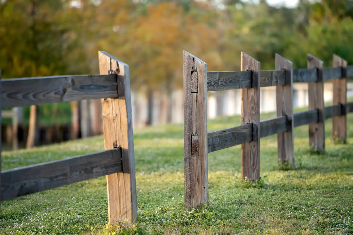 weathered wooden pole fence